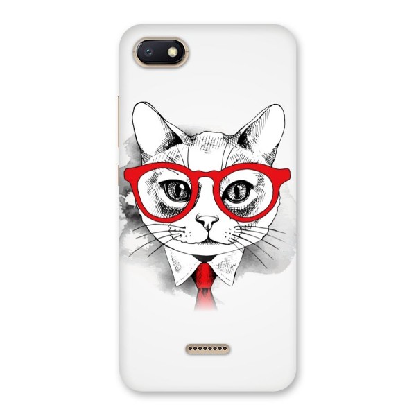 Business Cat Back Case for Redmi 6A