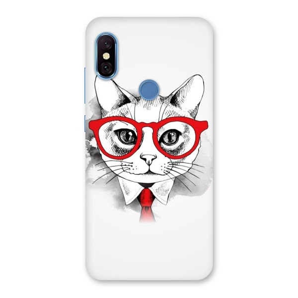 Business Cat Back Case for Redmi Note 6 Pro