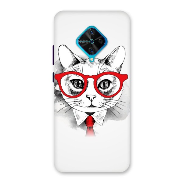 Business Cat Back Case for Vivo S1 Pro