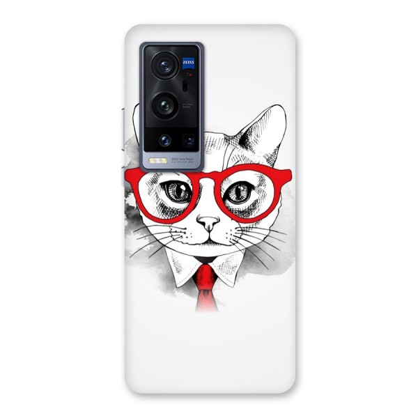 Business Cat Back Case for Vivo X60 Pro Plus