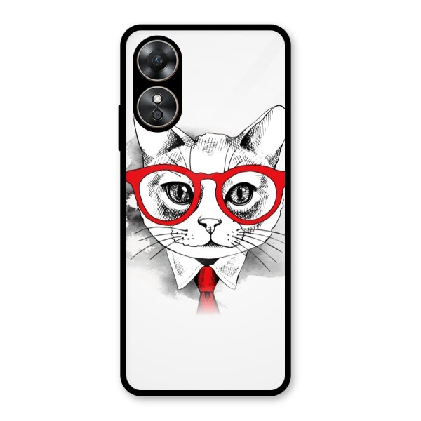 Business Cat Glass Back Case for Oppo A17