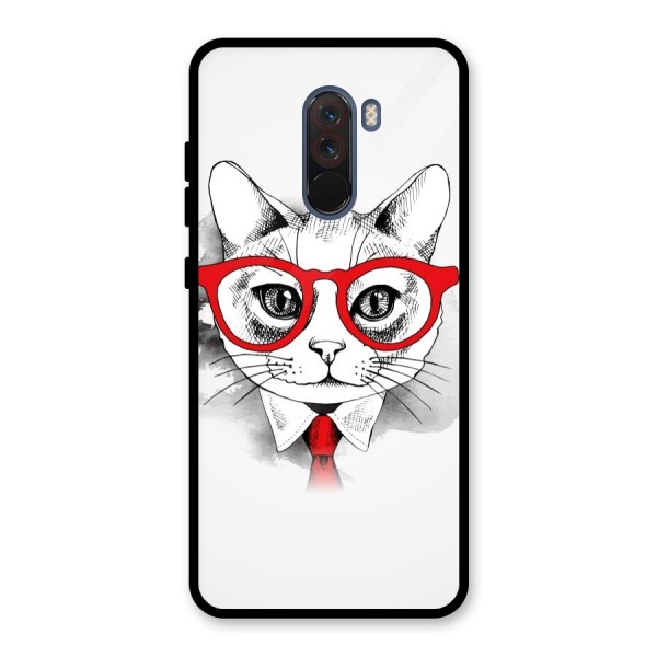 Business Cat Glass Back Case for Poco F1