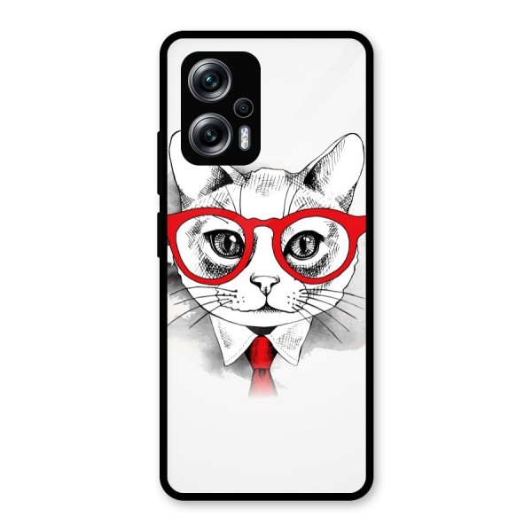 Business Cat Glass Back Case for Redmi K50i