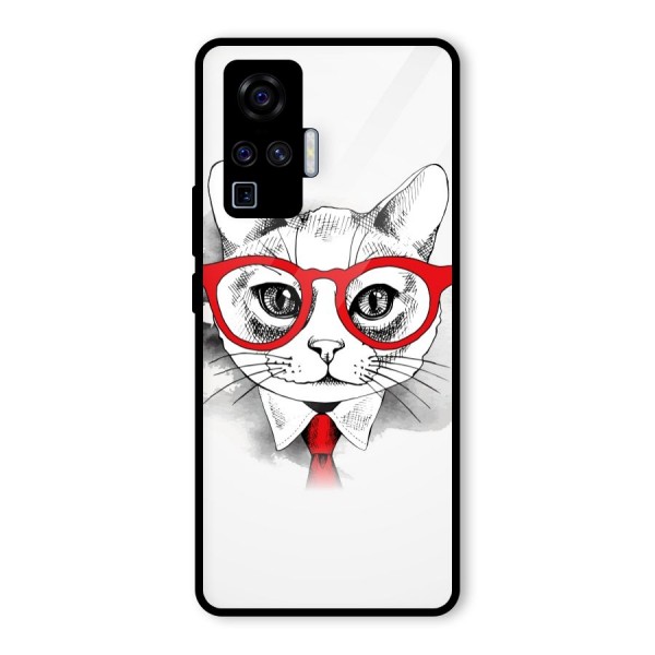 Business Cat Glass Back Case for Vivo X50 Pro