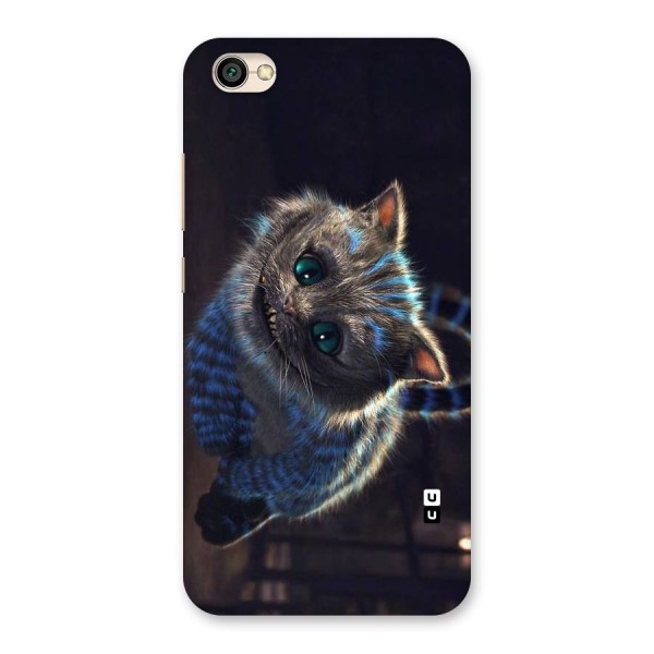 Cat Smile Back Case for Redmi Y1 Lite