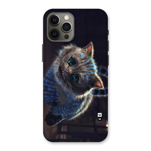 Cat Smile Back Case for iPhone 12 Pro Max