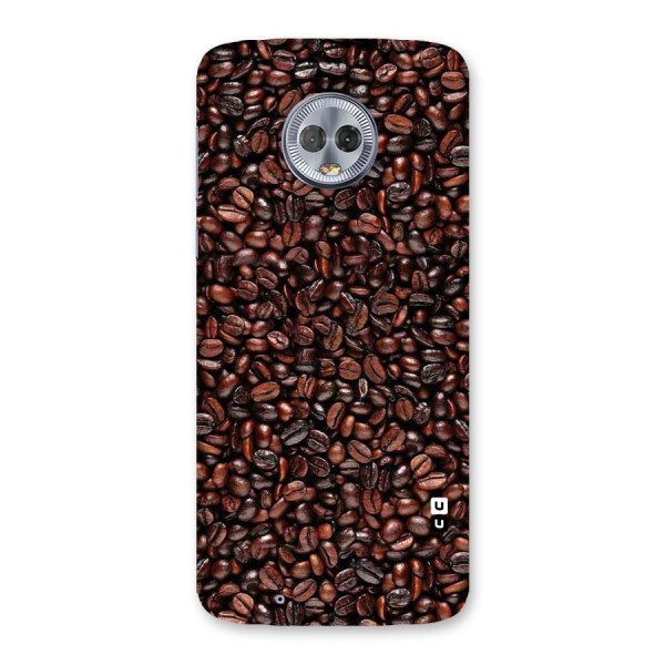 Cocoa Beans Back Case for Moto G6