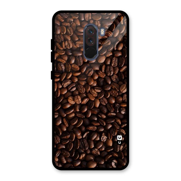 Coffee Beans Scattered Glass Back Case for Poco F1