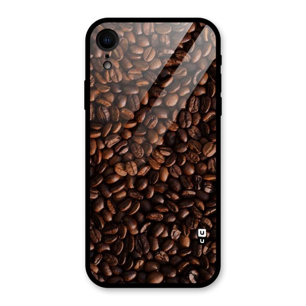 Coffee Beans Scattered Glass Back Case for XR