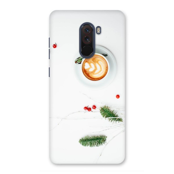 Coffee and Leafs Back Case for Poco F1