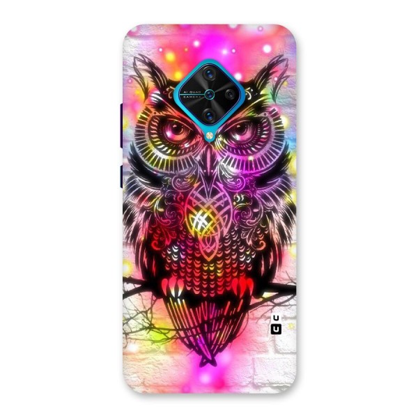 Colourful Owl Back Case for Vivo S1 Pro