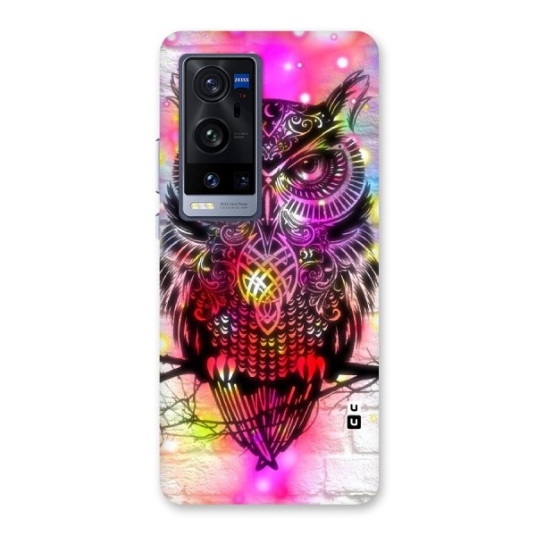 Colourful Owl Back Case for Vivo X60 Pro Plus