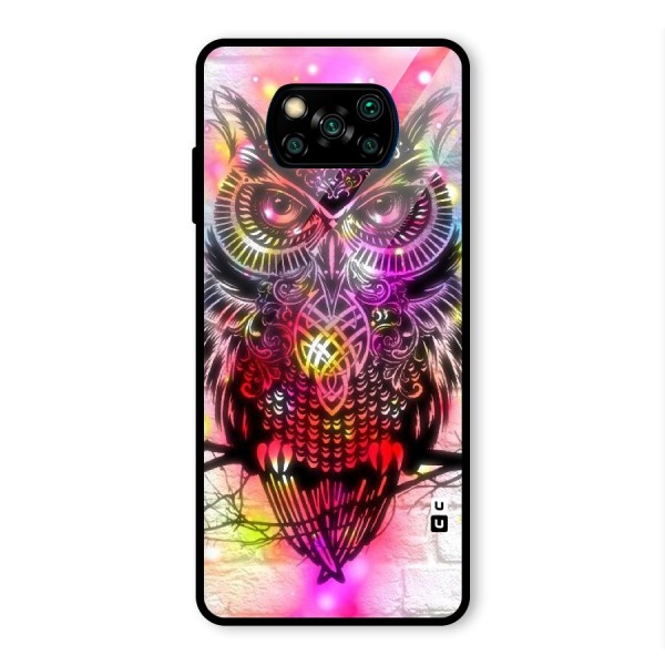 Colourful Owl Glass Back Case for Poco X3 Pro