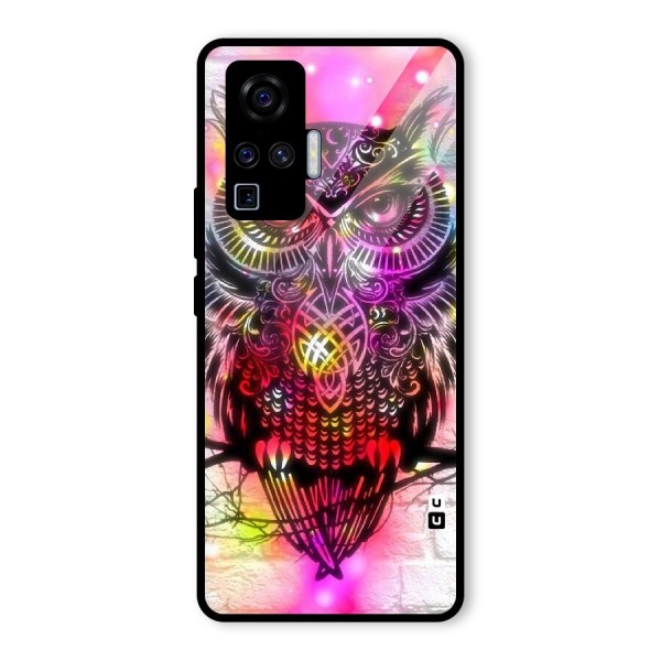 Colourful Owl Glass Back Case for Vivo X50 Pro