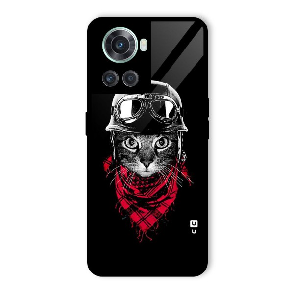 Cool Biker Cat Glass Back Case for OnePlus 10R