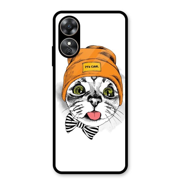 Cool cat Glass Back Case for Oppo A17