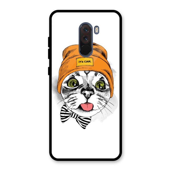 Cool cat Glass Back Case for Poco F1