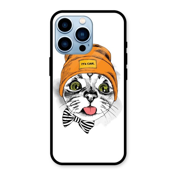 Cool cat Glass Back Case for iPhone 13 Pro