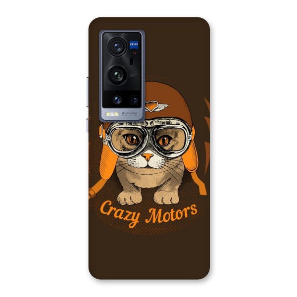 Crazy cat Back Case for Vivo X60 Pro Plus