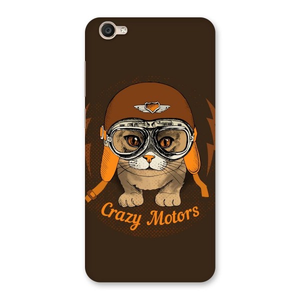 Crazy cat Back Case for Vivo Y55s