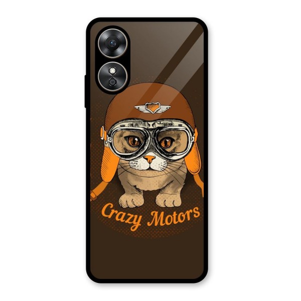 Crazy cat Glass Back Case for Oppo A17