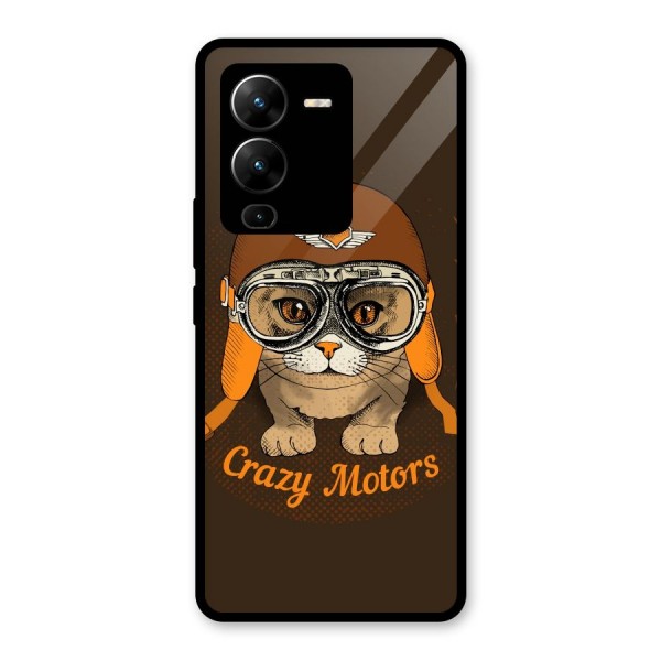 Crazy cat Glass Back Case for Vivo V25 Pro