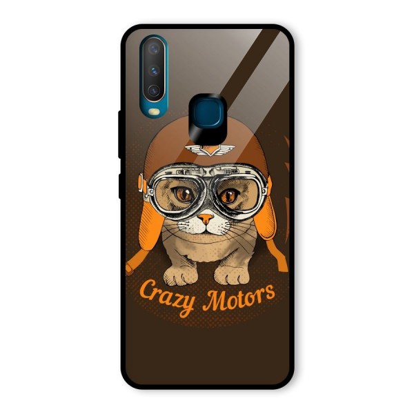 Crazy cat Glass Back Case for Vivo Y12