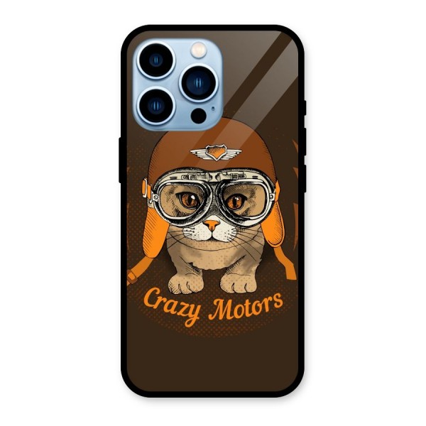 Crazy cat Glass Back Case for iPhone 13 Pro