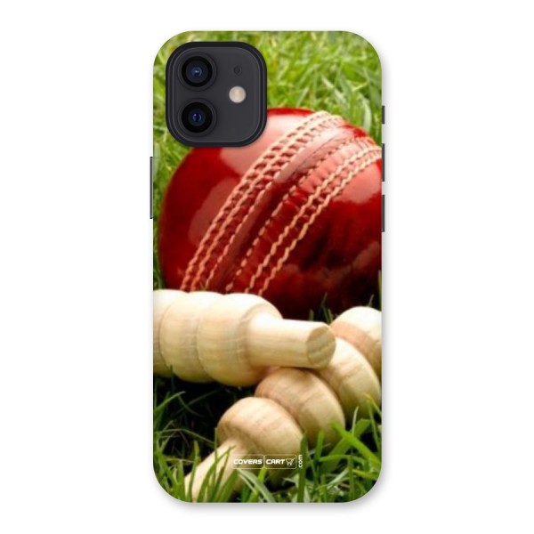 Cricket Ball and Stumps Back Case for iPhone 12