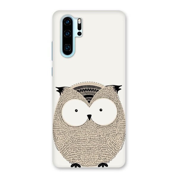 Cute Owl Back Case for Huawei P30 Pro