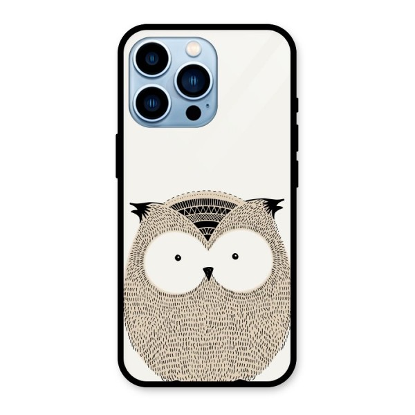 Cute Owl Glass Back Case for iPhone 13 Pro