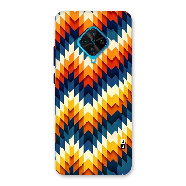 Delightful Design Back Case for Vivo S1 Pro