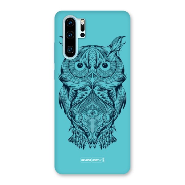 Designer Owl Back Case for Huawei P30 Pro