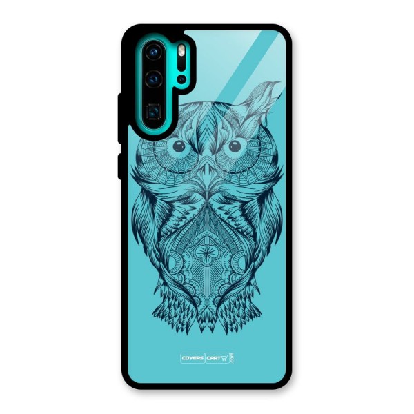 Designer Owl Glass Back Case for Huawei P30 Pro