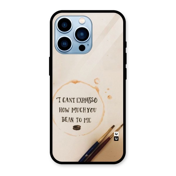 Espresso Bean Glass Back Case for iPhone 13 Pro