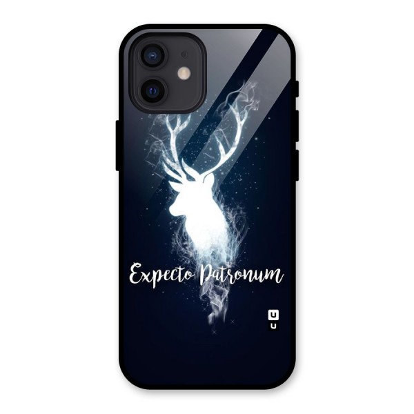 Expected Wish Glass Back Case for iPhone 12