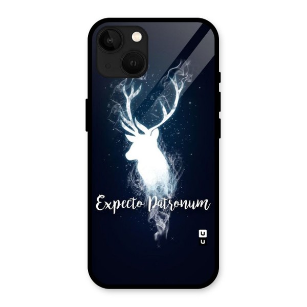 Expected Wish Glass Back Case for iPhone 13