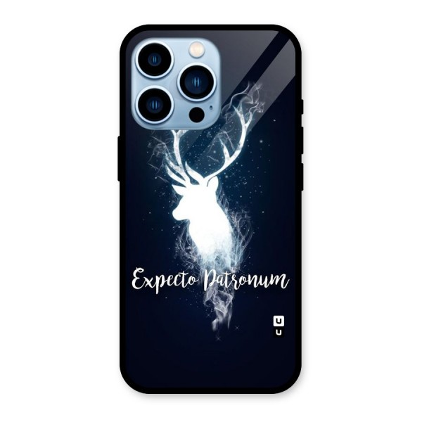 Expected Wish Glass Back Case for iPhone 13 Pro