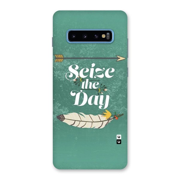 Feather Seize Back Case for Galaxy S10 Plus