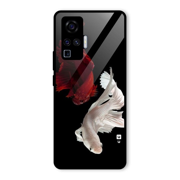 Fish Design Glass Back Case for Vivo X50 Pro