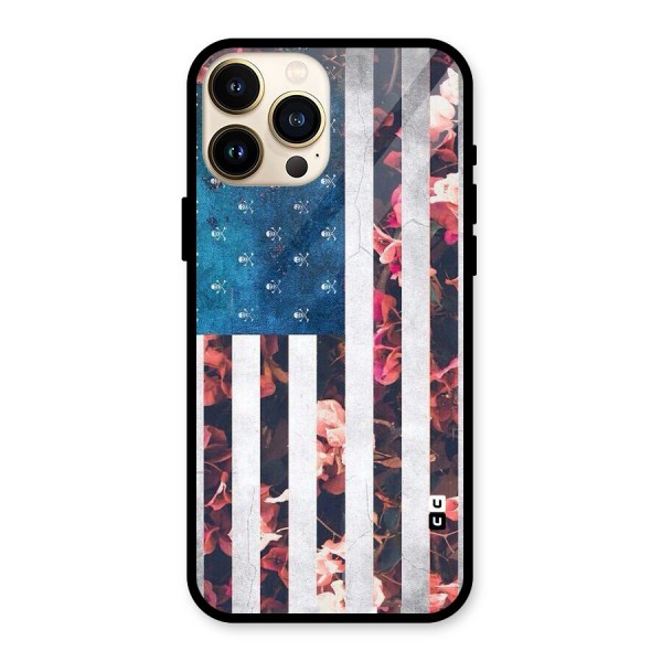 Flag Stripes Glass Back Case for iPhone 13 Pro Max