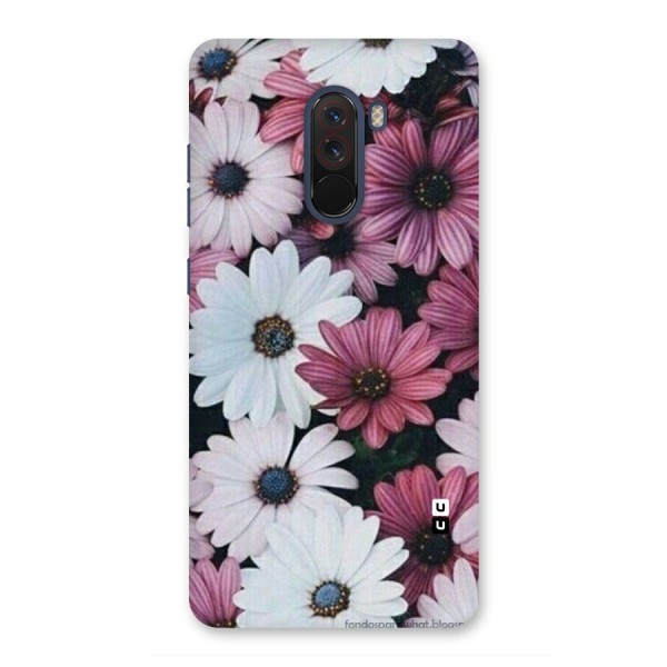 Floral Shades Pink Back Case for Poco F1