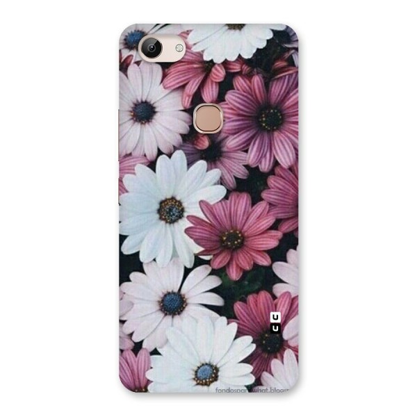 Floral Shades Pink Back Case for Vivo Y83