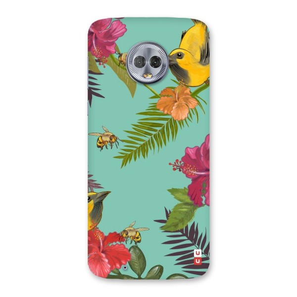 Flower Bird and Bee Back Case for Moto G6