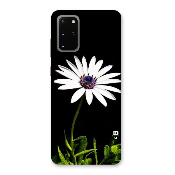 Flower White Spring Back Case for Galaxy S20 Plus