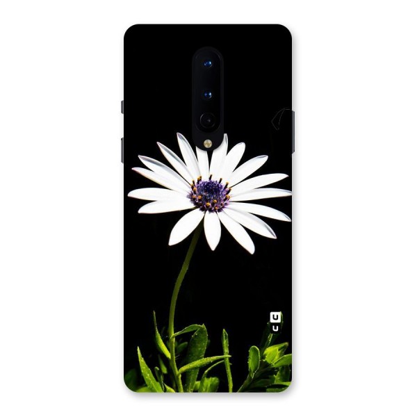 Flower White Spring Back Case for OnePlus 8