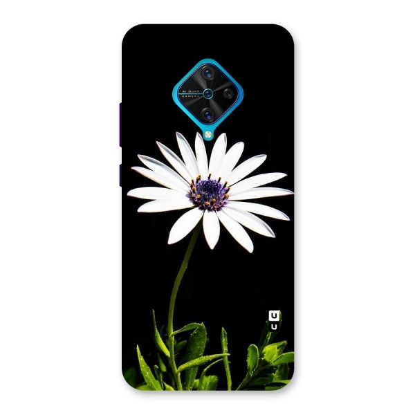 Flower White Spring Back Case for Vivo S1 Pro