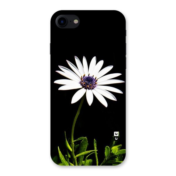 Flower White Spring Back Case for iPhone SE 2020