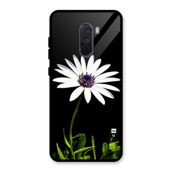 Flower White Spring Glass Back Case for Poco F1