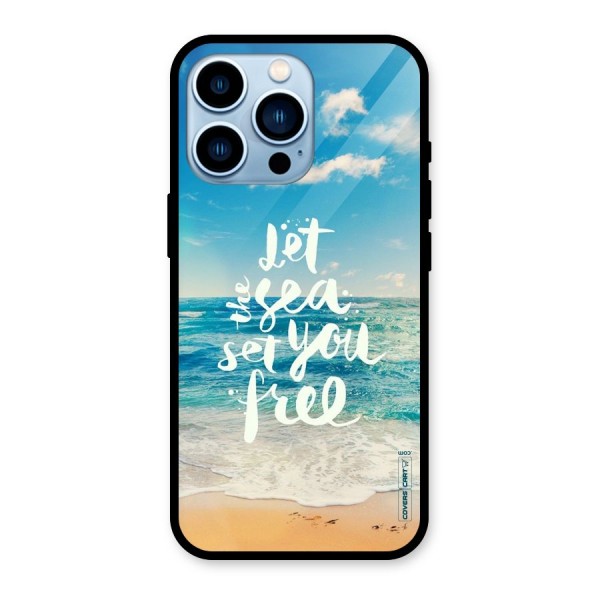 Free Sea Glass Back Case for iPhone 13 Pro